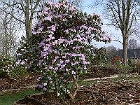 2011-04-14_08-37-31_0037