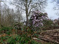 2011-04-14_08-38-05_0045