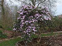 2011-04-15_08-18-17_0011
