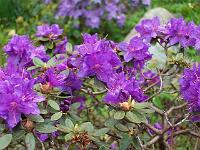 11-05-05kodak_224