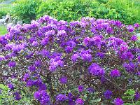 16-05-05kodak_210