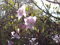 07-05-05kodak_045