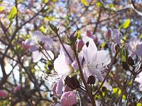 07-05-05kodak_047