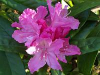 22-05-05kodak_252