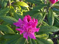 24-05-05kodak_028