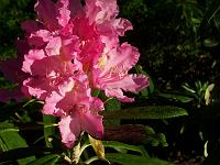 24-05-05kodak_093