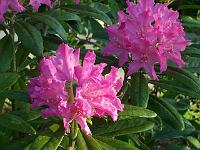 27-05-05kodak_058