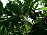 07-06-2006_18-02-56_70