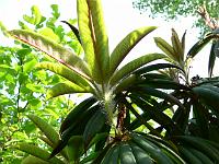 07-06-2006_18-04-49_101