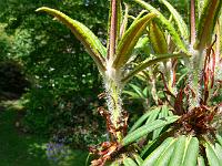 08-06-2006_12-41-06_63