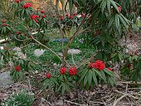 15-04-2006_09-14-45_10