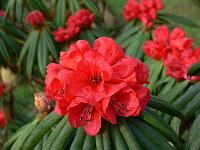 19-04-2006_08-27-37_200