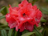 2012-03-28_16-29-24_0173