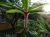 27-05-2006_20-14-10_173