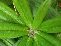 29-05-2006_16-57-52_06