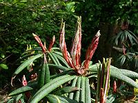 29-05-2006_17-07-00_150