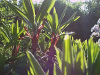 17-05-05kodak_144