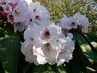 24-04-2006_17-53-27_79