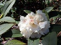 08-05-05kodak_245