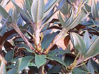 18-06-05kodak_670
