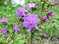 2010-05-13_14-49-15_0003