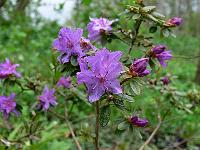 2010-05-13_14-49-27_0005
