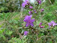 2010-05-13_14-49-52_0010