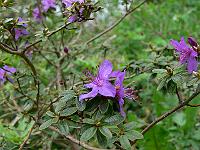 2010-05-13_14-50-06_0014