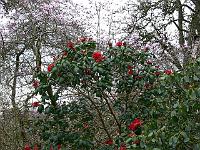 09-04-2007_16-21-26_21