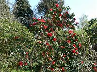 12-04-2007_11-07-50_55
