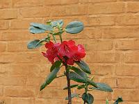 13-05-2006_10-56-19_216