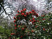 14-04-2007_14-10-04_103