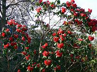 14-04-2007_18-18-36_233