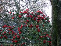 15-04-2007_06-49-14_62