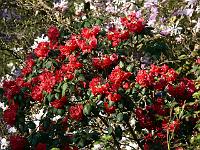 16-04-2007_08-50-30_96