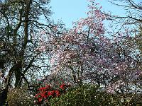16-04-2007_08-51-57_118