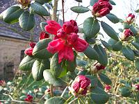 17-04-05kodak_159