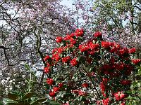 17-04-2007_10-12-04_05