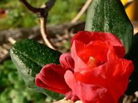 2008-09-25_08-15-43_0111