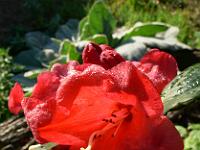 2008-09-25_08-25-23_0141