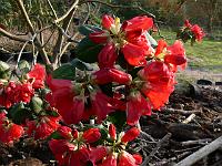 2009-04-10_07-18-51_0087
