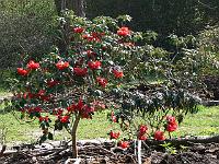 2009-04-12_09-38-33_0170
