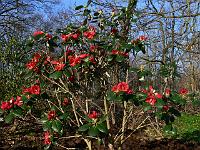 2011-04-09_07-21-09_0006
