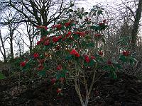 2011-04-09_18-21-30_0028