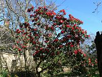 2011-04-10_08-51-19_0121