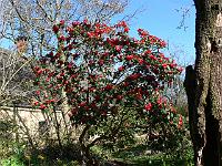 2011-04-10_08-51-31_0124