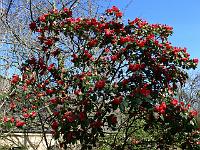 2011-04-10_08-52-13_0134