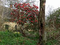 2011-04-11_08-42-52_0076