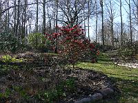 2011-04-11_15-37-16_0001