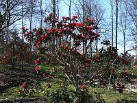 2011-04-11_15-37-40_0004